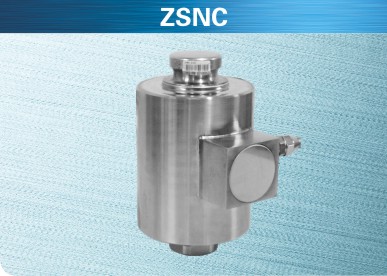 ZSNC